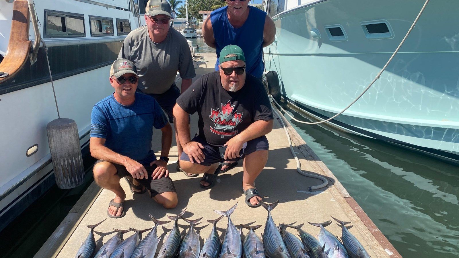 The day's catch of bonito and tuna laid out on the dock at Marina Nuevo Vallarta after a fishing charter in Puerto Vallarta