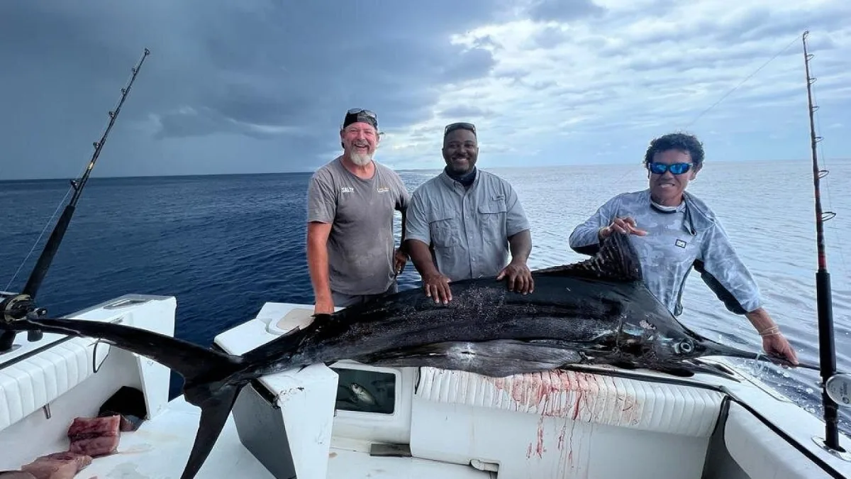 A blue marlin brought aboard during a full-day offshore fishing charter out of Banderas Bay